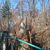 Матерова Вера Александровна