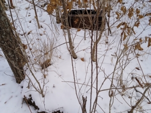 Неизвестно Неизвестно Неизвестно