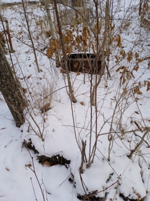 Неизвестно Неизвестно Неизвестно