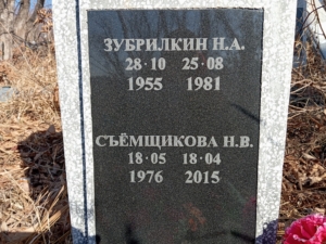Зубрилкин Н А