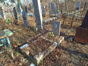 150fe3bc-5351-4f6d-b623-c95d19722e9e Гудкова Татьяна Яковлевна