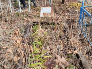 Богданов Михаил Ильич