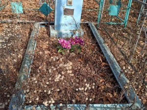 Финогеев Сергей Николаевич