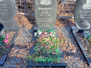 1544ed33-54b2-4a81-8f57-fa09ba877c9f Прокопьева Елена Юрьевна