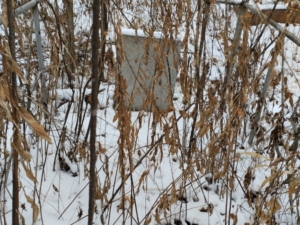 Неизвестно Неизвестно Неизвестно