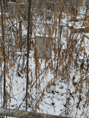 Неизвестно Неизвестно Неизвестно