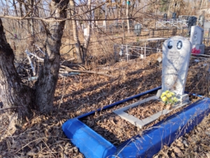 157e9b6e-6dfa-4e52-b1fa-7bc6c9a3aa6e Бычков Николай Ильич