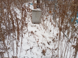15a65fdb-37ba-412f-9e4f-794d221c050b Деменок Татьяна Викторовна