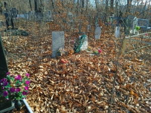 Соломасов Владимир Сергеевич