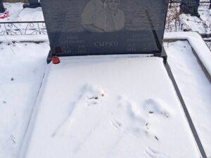 Сырко Юрий Антонович