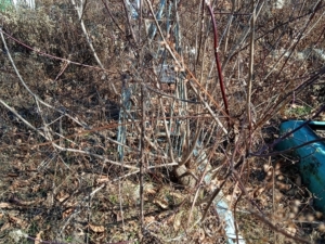 Ольгин Василий Иванович