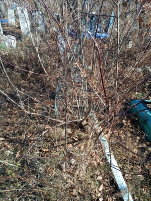 Ольгин Василий Иванович