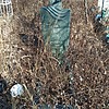 Чайка Вера Серкеевна