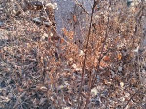 Неизвестно Неизвестно Неизвестно