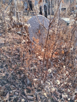 Неизвестно Неизвестно Неизвестно