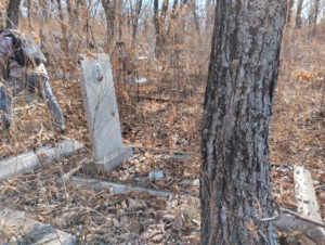 Федяев Сергей Александрович