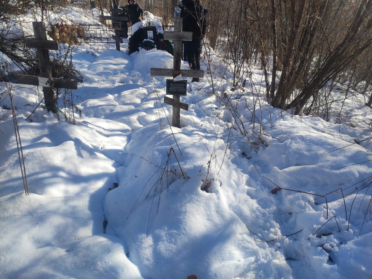 Воронина Людмила Николаевна