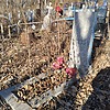 Цединева Надежда Неизвестно