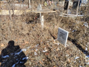 Сафронова Галина Павловна