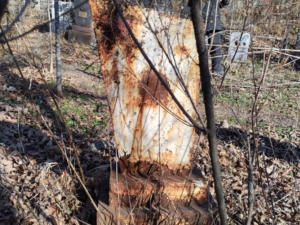 Неизвестно Неизвестно Неизвестно