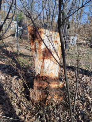 Неизвестно Неизвестно Неизвестно