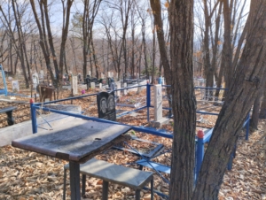 17d357c1-782b-4401-a24d-0c32d9a5e2c7 Полякова Евдокия Петровна