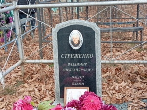 Стриженко Владимир Александрович