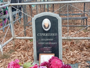 17dcbc95-e3ad-44b4-a982-78617059eeb0 Стриженко Владимир Александрович
