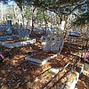 Грищук Николай Петрович