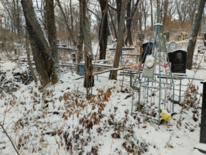 Кокорина Евгения Михайловна