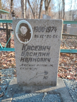 195e0061-5a5f-4141-a960-ba8520679f17 Касевич Василий Иванович