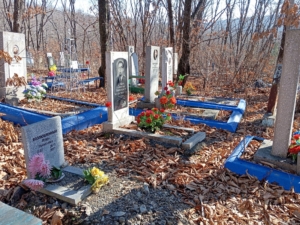 1976e0fd-4d92-496c-afff-144f7acbf657 Возлюбленный Игорь Николаевич