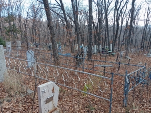 197f6939-1096-4346-95d6-22950f1f0cbb Анохин Владимир Иванович