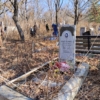 Медолазова Екатерина Васильевна