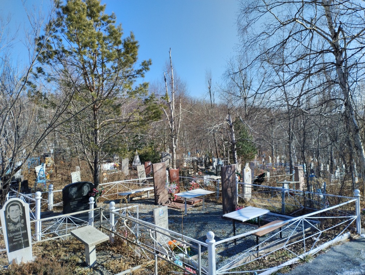 Шишкина Елена Николаевна