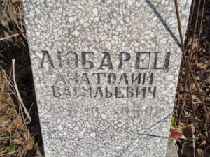 Любарец Анатолий Васильевич