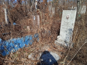 Гончар Варвара Александровна