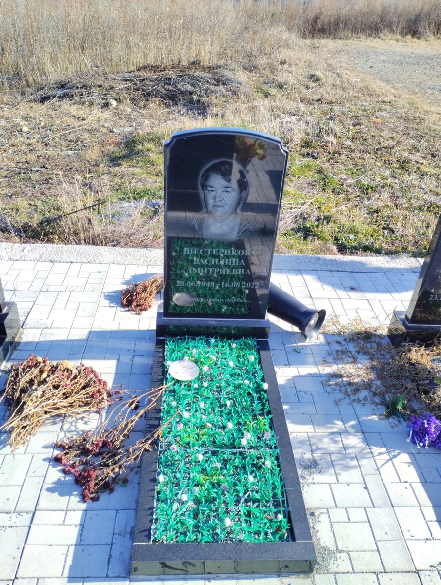 Шестерикова Василина Дмитриевна