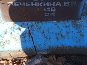 Печенкина В И