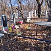 Шалаумова Людмила Александровна