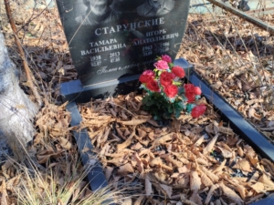 Старунский Игорь Анатольевич