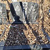 Гребенщиков Владимир Иванович