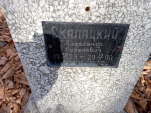 Скалацкий Александр Сергеевич