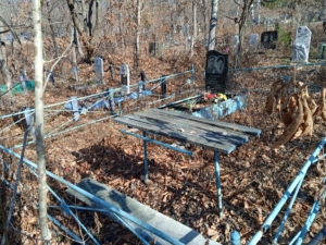 1d2a95a8-2f9d-40df-8e63-0cfbfed6f509 Горбунова Анна Алексеевна