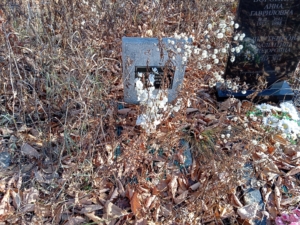 Корзухина Ирина Сергеевна