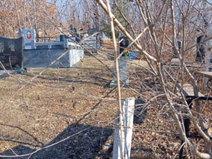 1d50ec3f-66d4-4273-8a74-373adaf7456f Николаенко Людмила Алексеевна