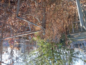 Красиков Николай Спиридонович