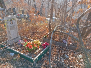1e73f74d-589f-4b74-8c92-430b14d4473a Неизвестно Неизвестно Неизвестно