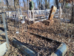 Жаров Николай Николаевич