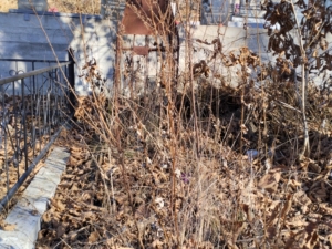 Неизвестно Неизвестно Неизвестно